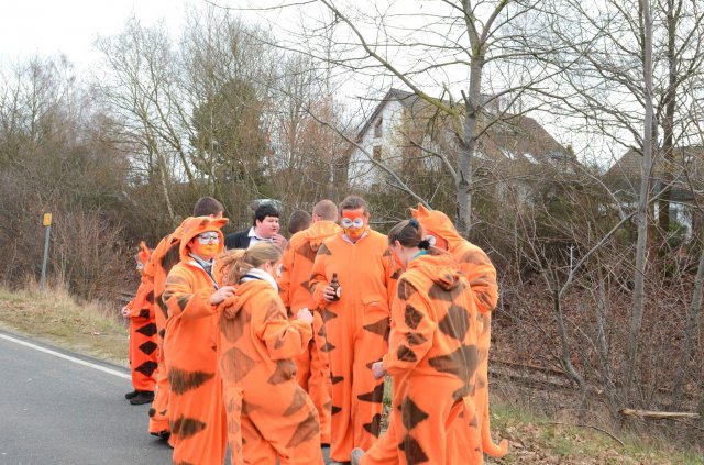 umzug simmern_140301_vb_009